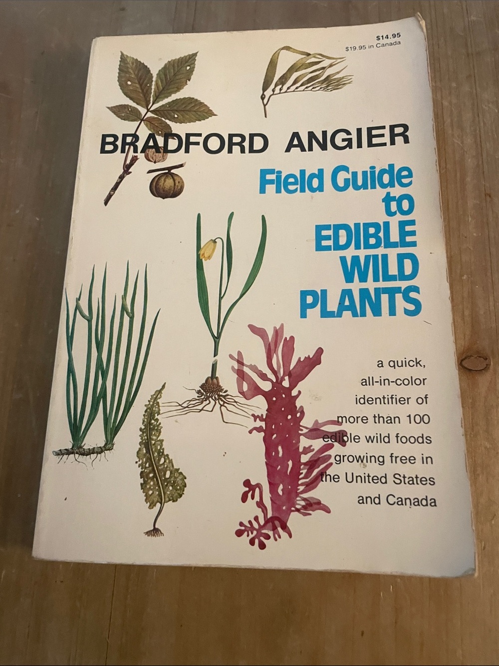 Field Guide to Edible Wild Plants by - White